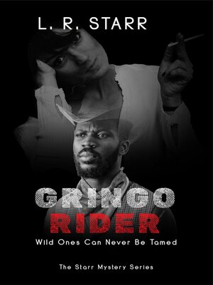 cover image of Gringo Rider
